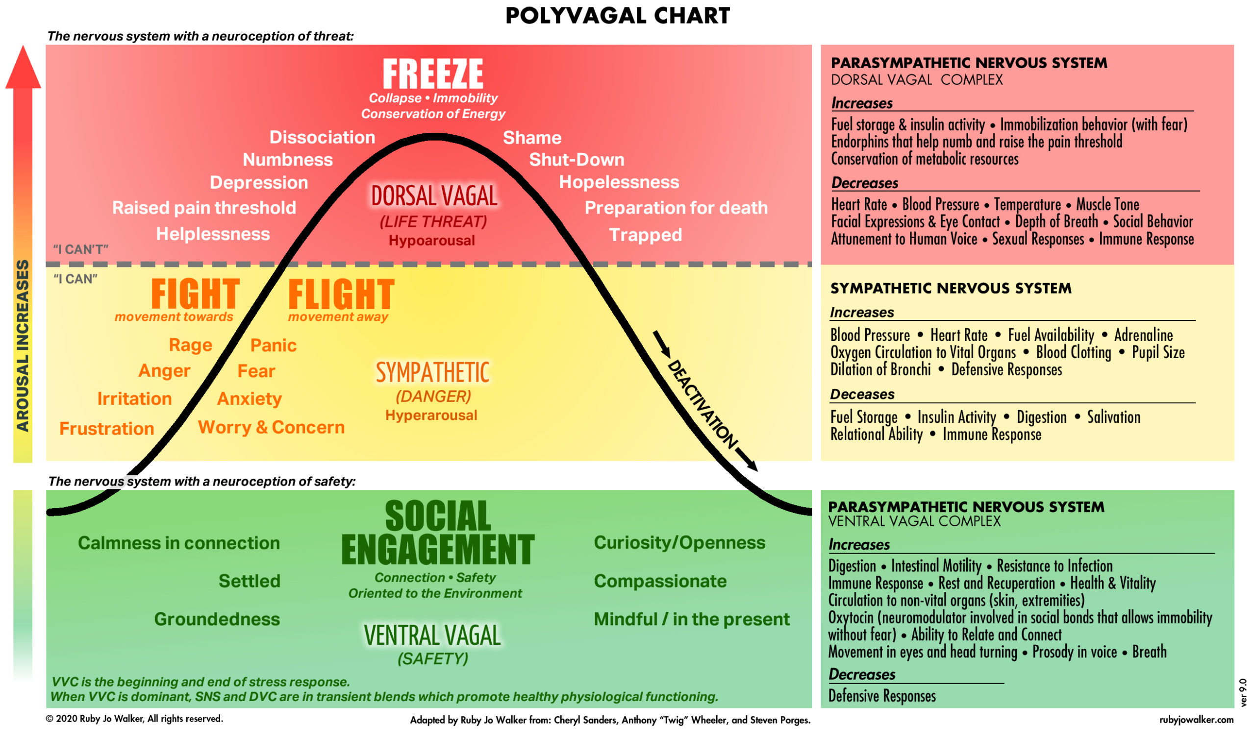 Polyvagal Theory by Stephen Porges